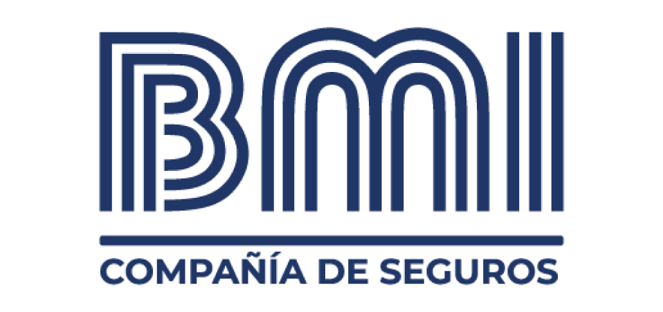 bmi